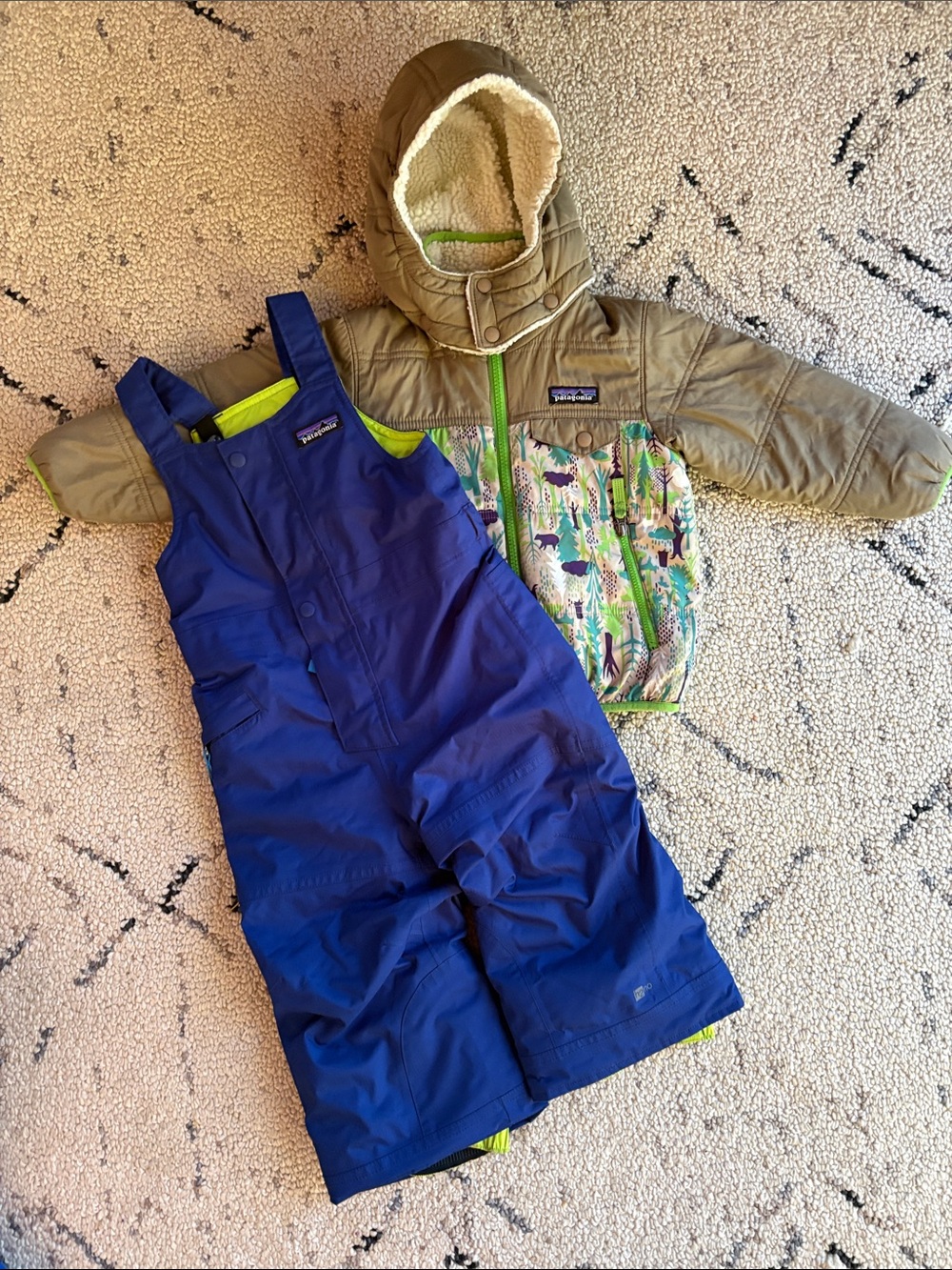 Patagonia Kids Reversible Tribbles Hoody + Snow Bib Set 2T